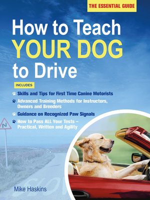 cover image of How to Teach Your Dog to Drive